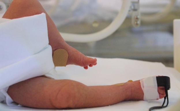 Colapso Deportista Negociar Nace un bebé de 28 semanas y 545 gramos de peso en Barcelona | BURGOSconecta