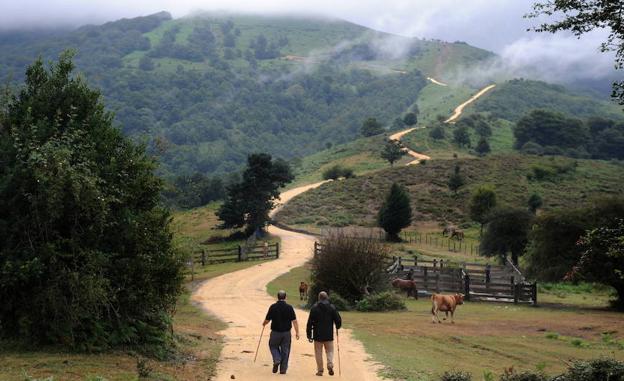 Dos hombres pasean por un sendero del parque natural de Gorbeiagorbeia. 