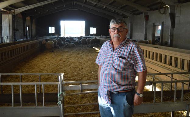 El ganadero veterano Felipe García, muestra la explotación familiar