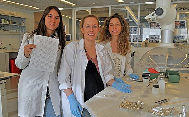 Los dientes pueden ser una buena fuente de datos para las investigaciones del Grupo de Antropología Dental del CENIEH.