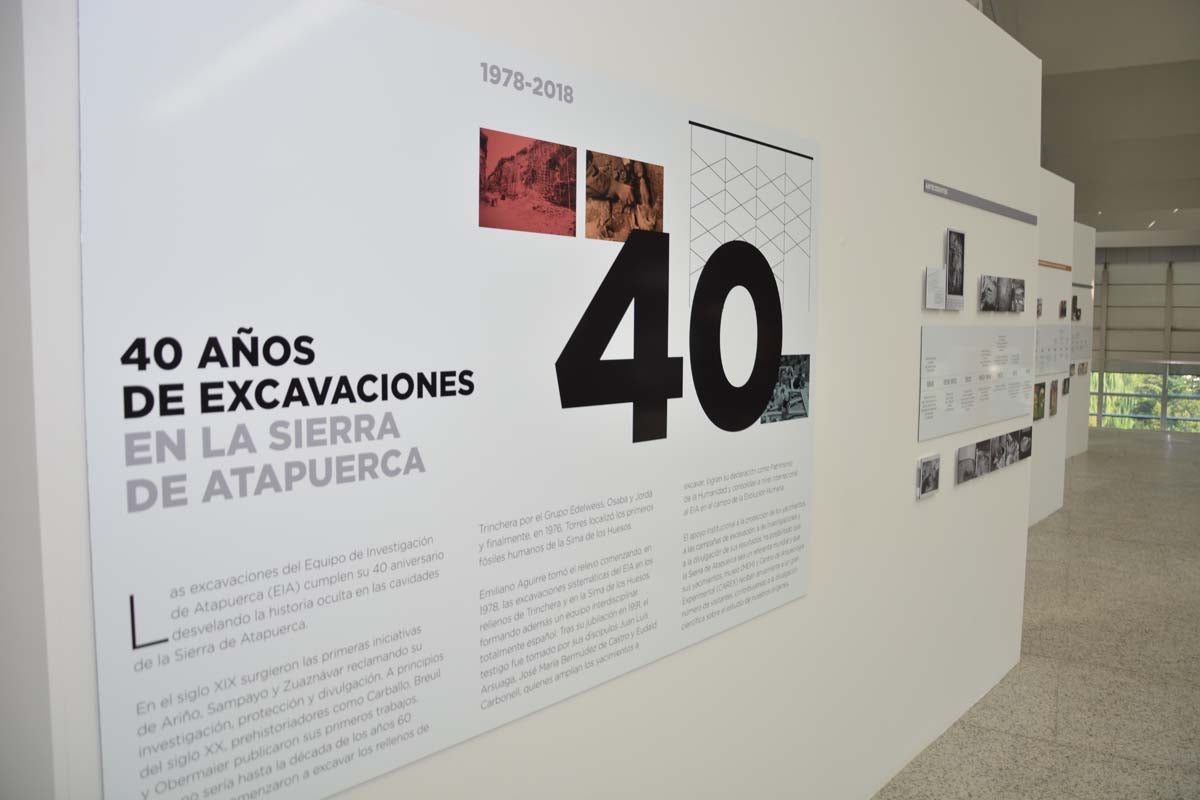 El Museo de la Evolución Humana acoge la exposición temporal sobre el 40 aniversario del inicio del proyecto investigador de Atapuerca.