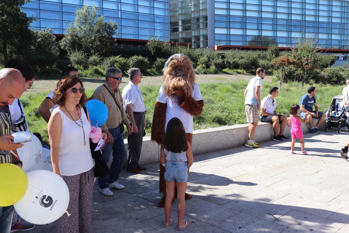 Fotos: Feria de Entidades Ciudadanas