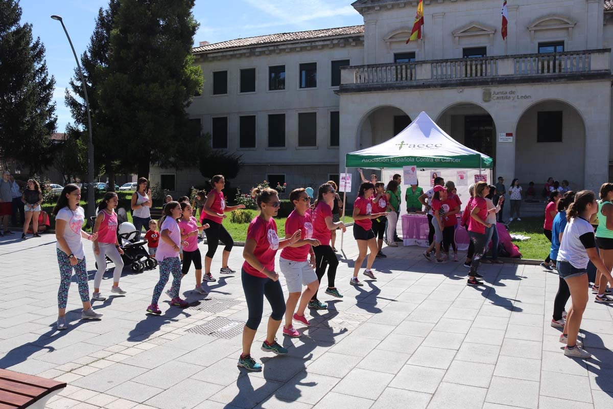 Fotos: Feria de Entidades Ciudadanas