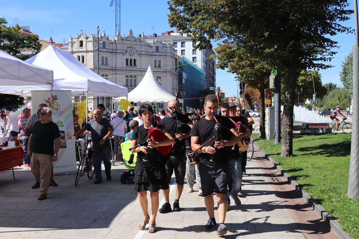 Fotos: Feria de Entidades Ciudadanas