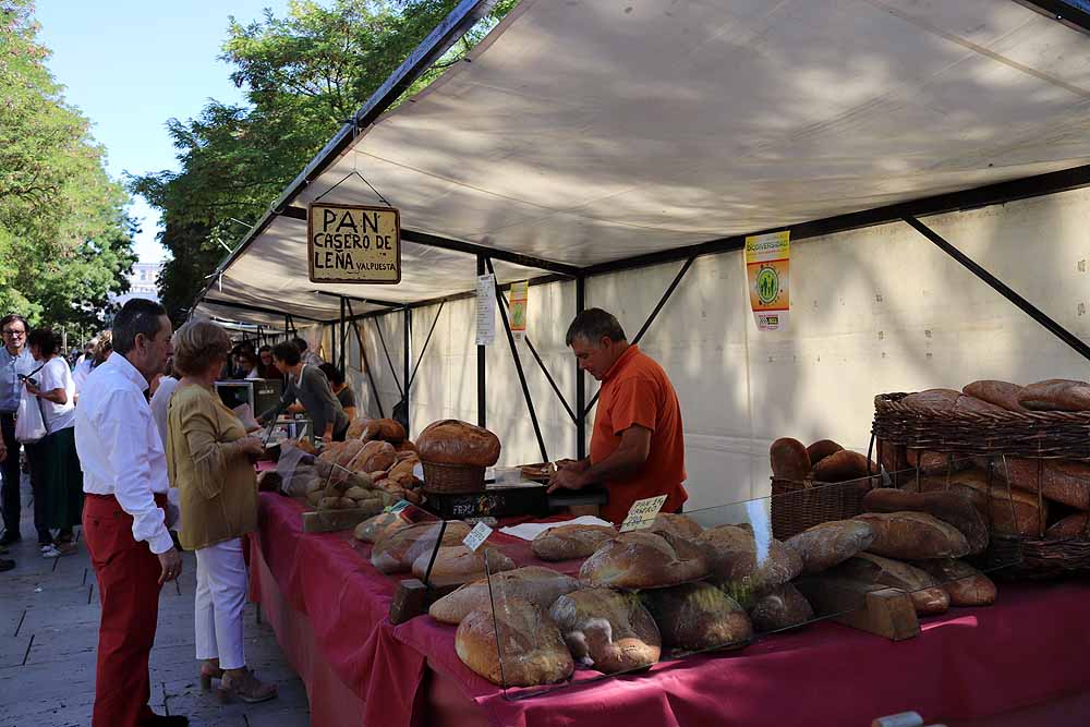 La Unión de Campesinos (UCCL) organiza la XVI Feria de la Biodiversidad, con la participación de una veintana de productores locales de diferentes puntos del país