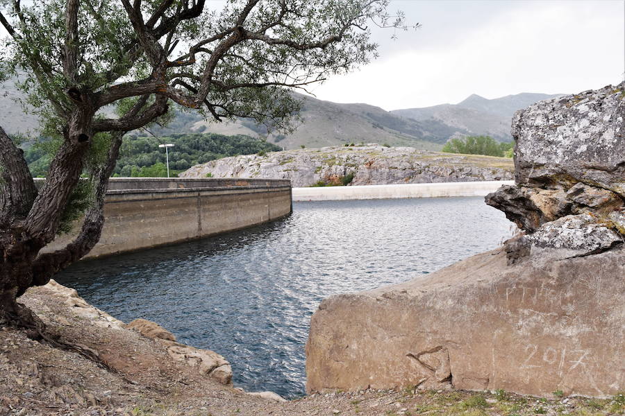 Pantano de Ruesga, en el que fue encontrado el animal ahogado.