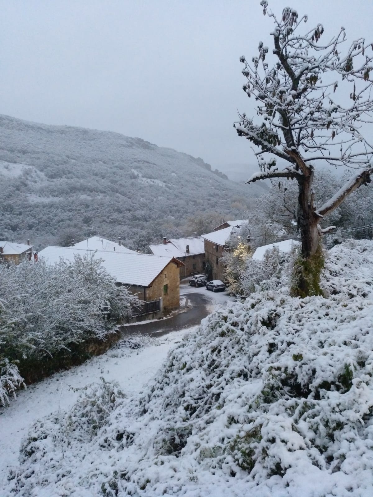 Las temperaturas continúan siendo gélidas estos días pero la alerta por nieve empieza a diluirse