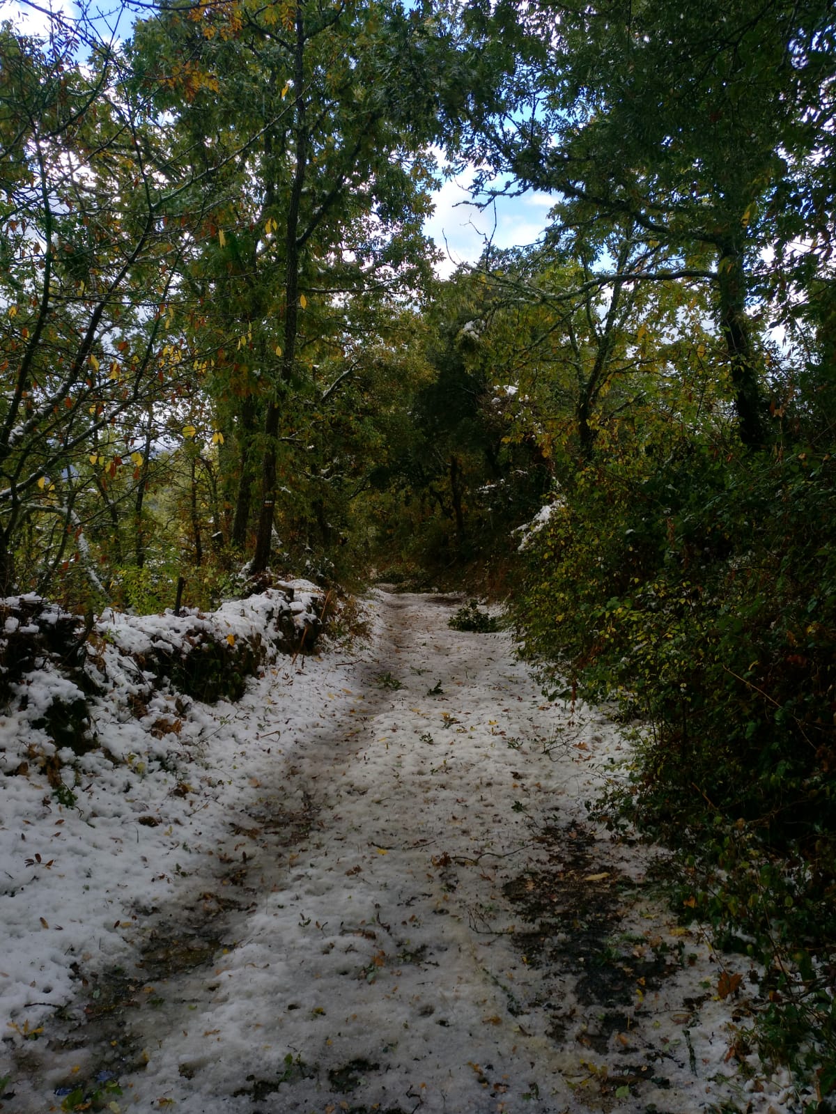 Las temperaturas continúan siendo gélidas estos días pero la alerta por nieve empieza a diluirse