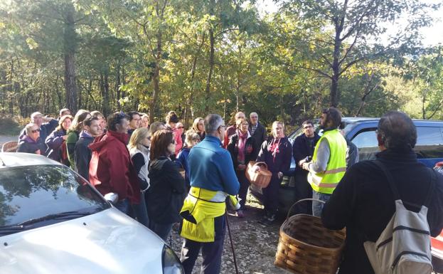 En Valle de Mena ya han empezado a recoger ejemplares para su tercer certamen micológico