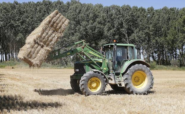 Un agricultor apila con el tractor pacas de paja en Villaldavín, Palencia. 