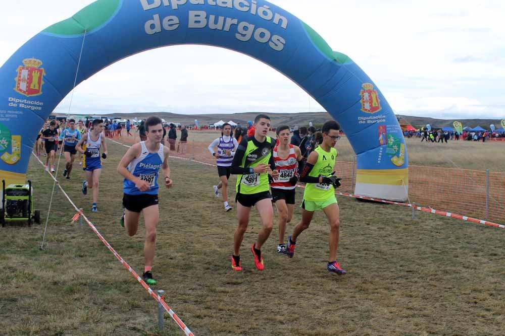 Fotos: Más allá de los atletas profesionales. Un cross para todos