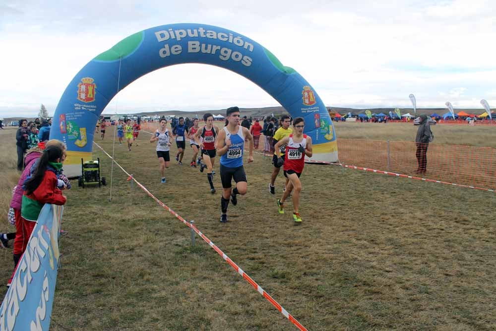 Fotos: Más allá de los atletas profesionales. Un cross para todos