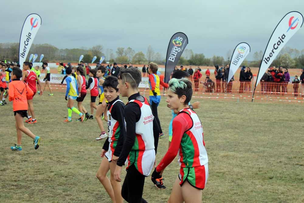 Fotos: Más allá de los atletas profesionales. Un cross para todos