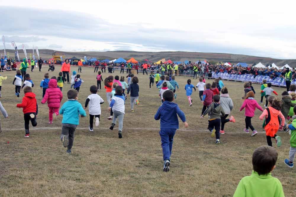 Fotos: Más allá de los atletas profesionales. Un cross para todos