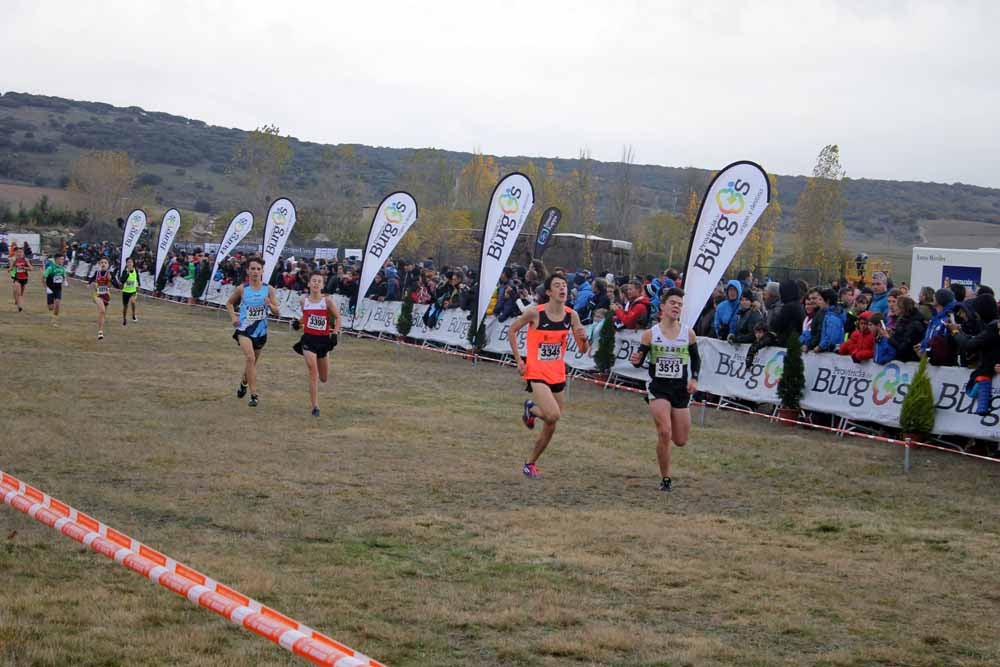 Fotos: Más allá de los atletas profesionales. Un cross para todos