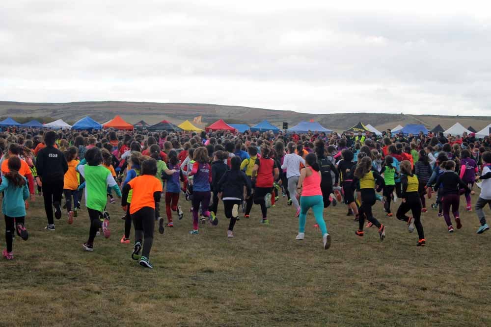 Fotos: Más allá de los atletas profesionales. Un cross para todos
