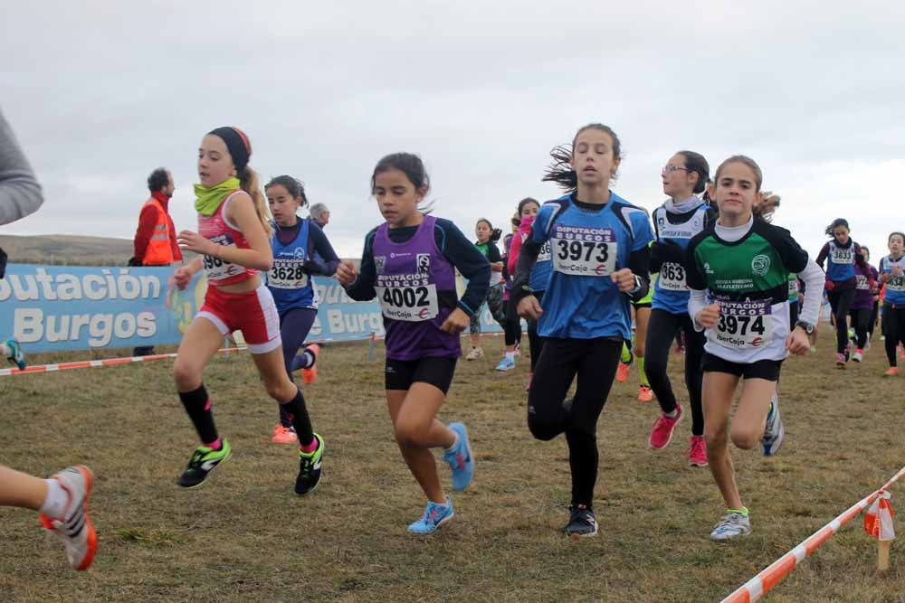 Fotos: Más allá de los atletas profesionales. Un cross para todos