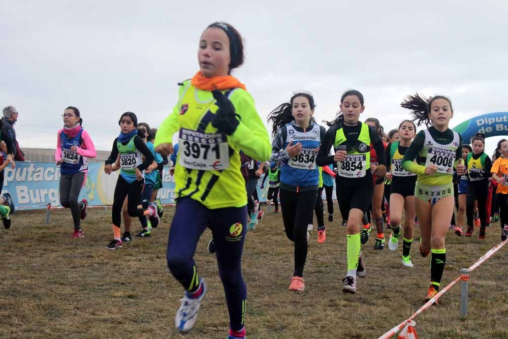 Fotos: Más allá de los atletas profesionales. Un cross para todos