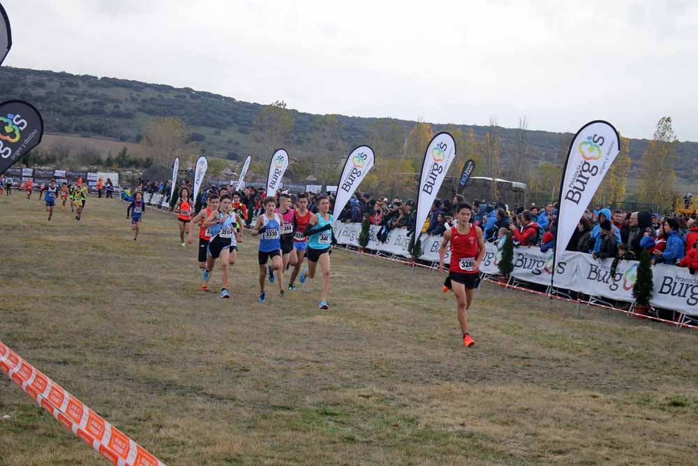 Fotos: Más allá de los atletas profesionales. Un cross para todos
