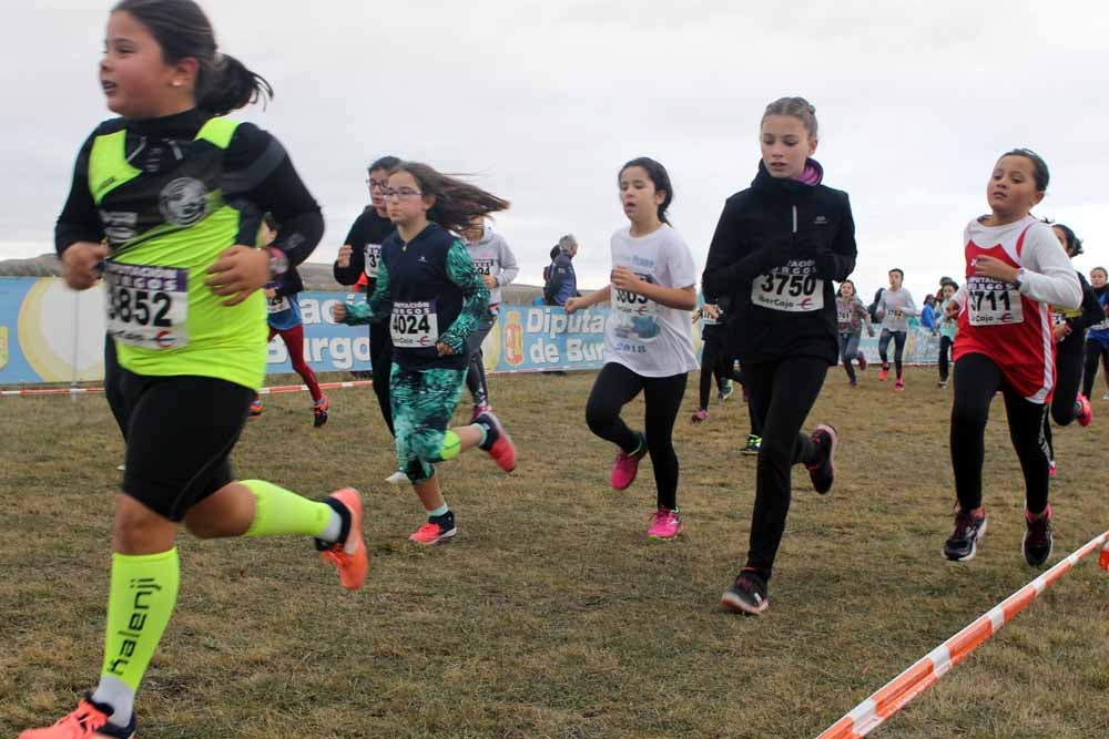 Fotos: Más allá de los atletas profesionales. Un cross para todos
