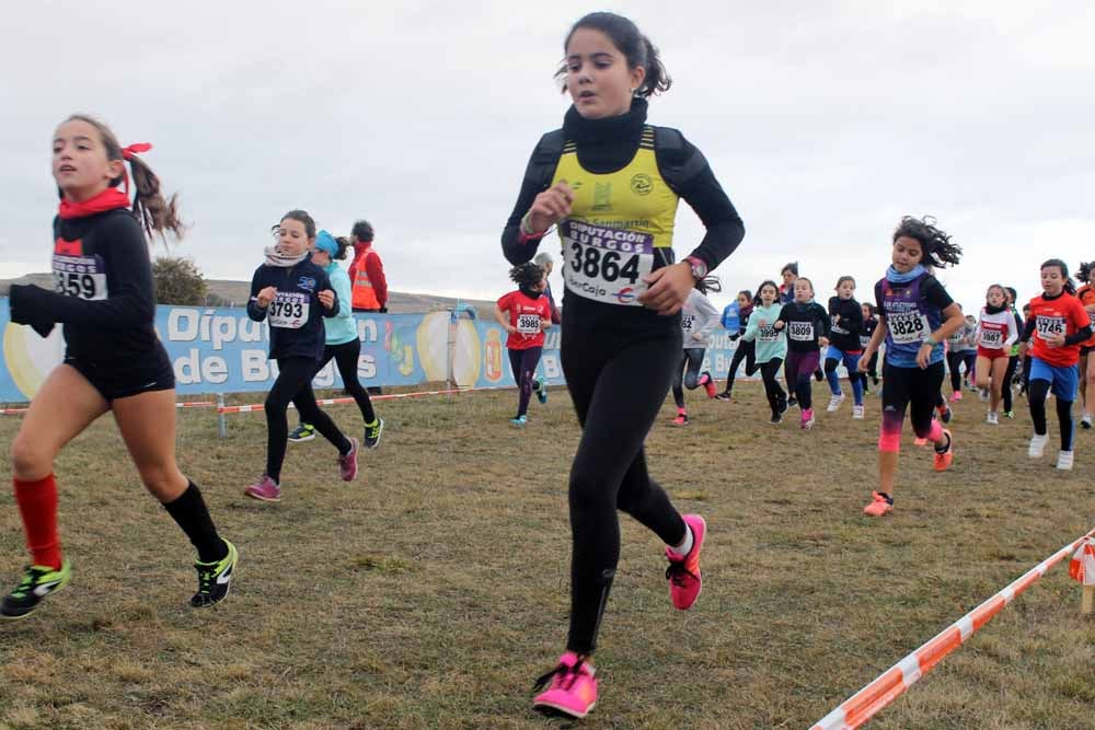 Fotos: Más allá de los atletas profesionales. Un cross para todos