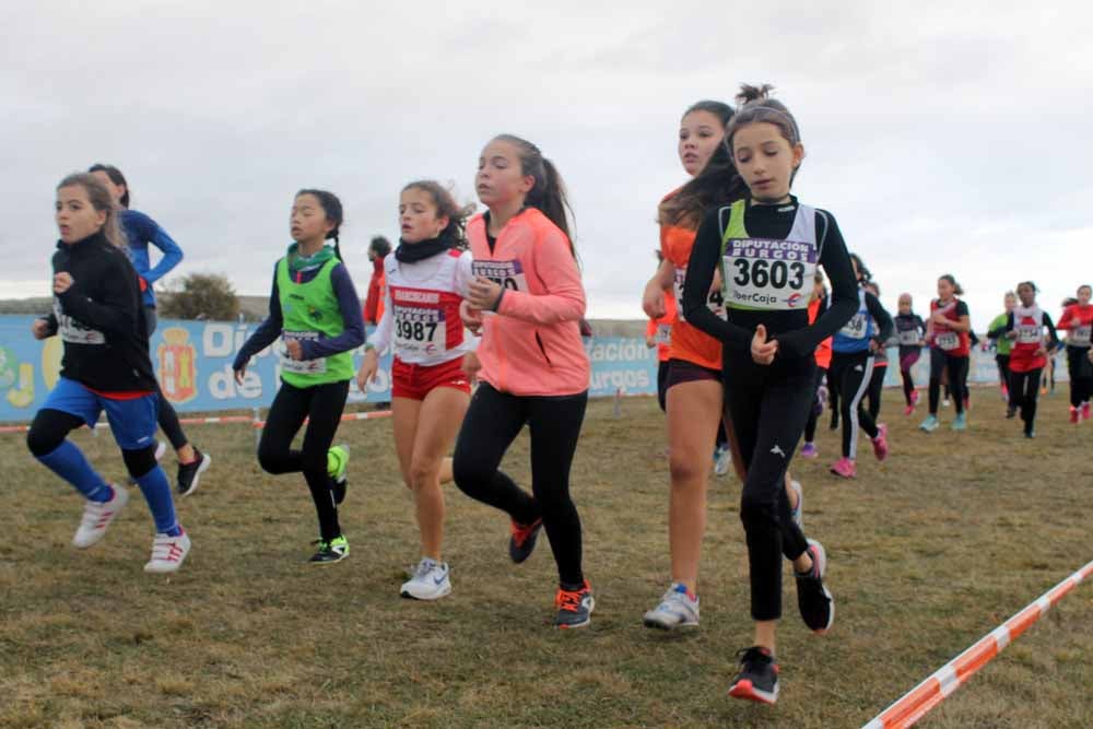 Fotos: Más allá de los atletas profesionales. Un cross para todos