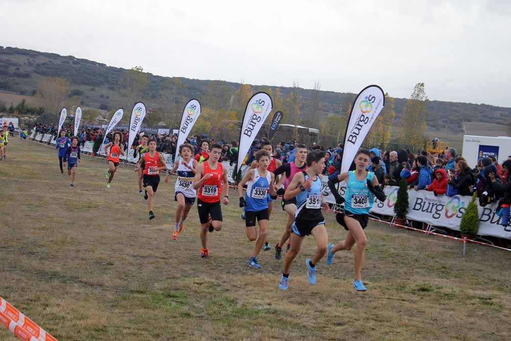 Fotos: Más allá de los atletas profesionales. Un cross para todos