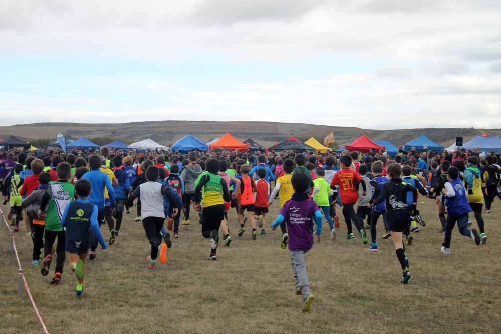 Fotos: Más allá de los atletas profesionales. Un cross para todos