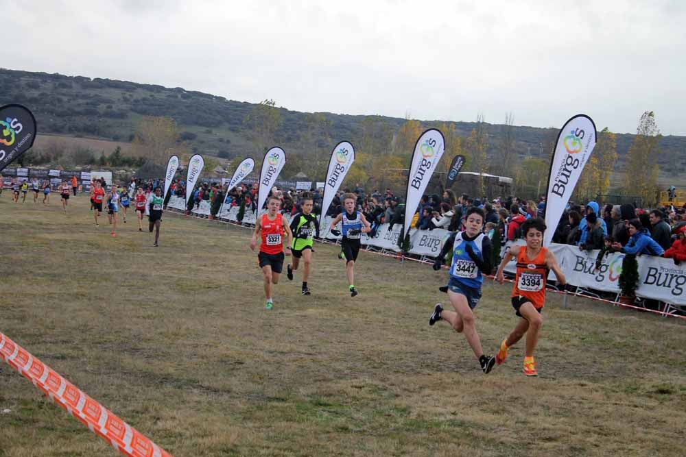 Fotos: Más allá de los atletas profesionales. Un cross para todos