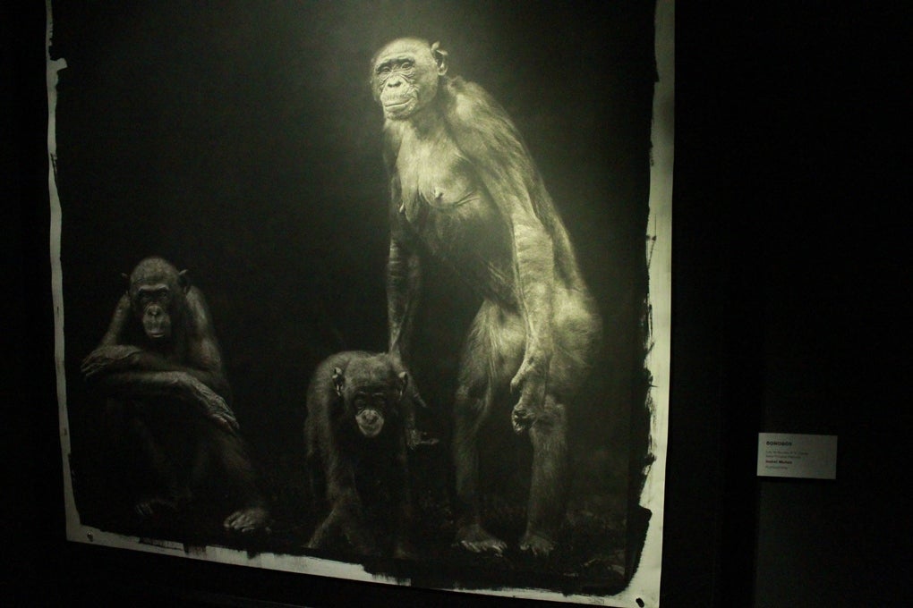 El Museo de la Evolución Humana inaugura una nueva exposición fotográfica