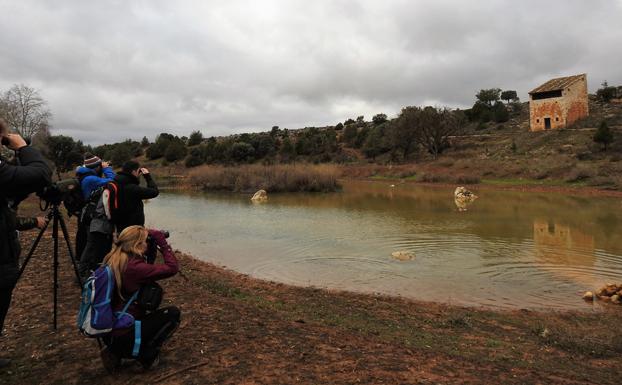 Alumnos durante la ruta de la por el sendero de las loberas en Caleruega. 