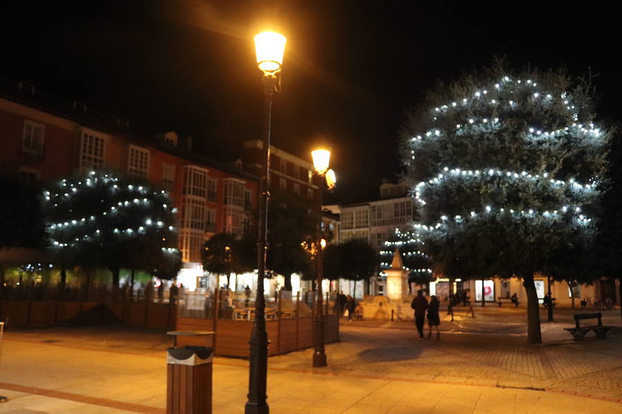 Fotos: La iluminación navideña ya brilla en la ciudad