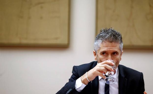 El ministro del Interior, Fernando Grande-Marlaska, durante un acto en el Congreso de los Diputados.