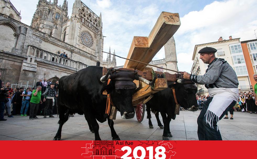 La Cabaña Real de Carreteros rememoró la colocación de la primera piedra de la Catedral en su 797 cumpleaños