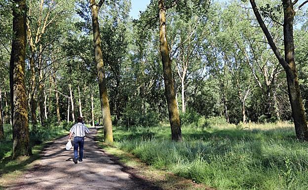 Cinturón Verde de Burgos. 