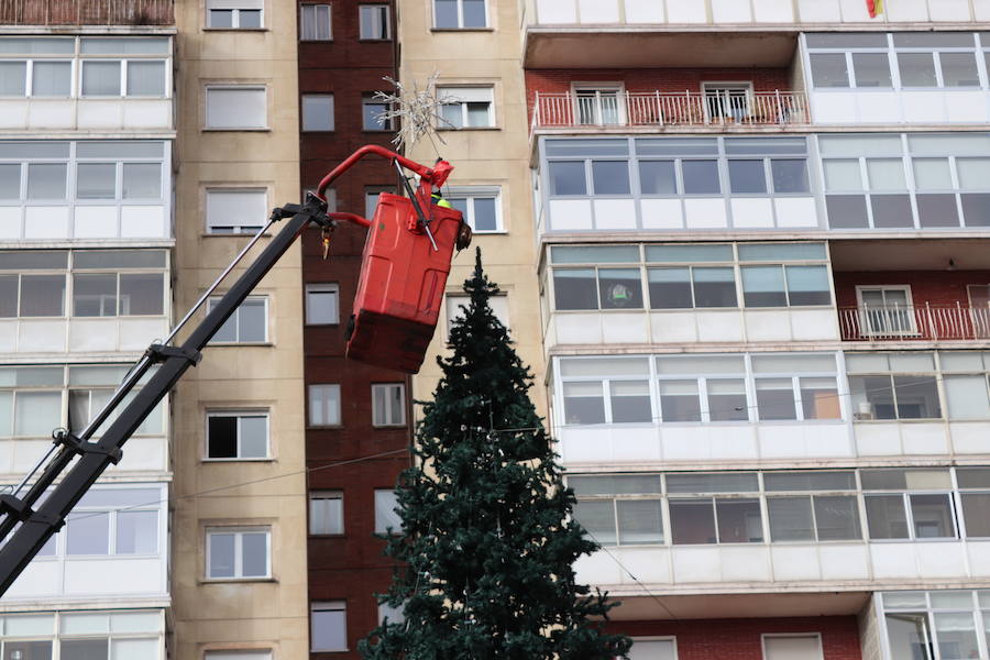 Fotos: Desmontando la Navidad