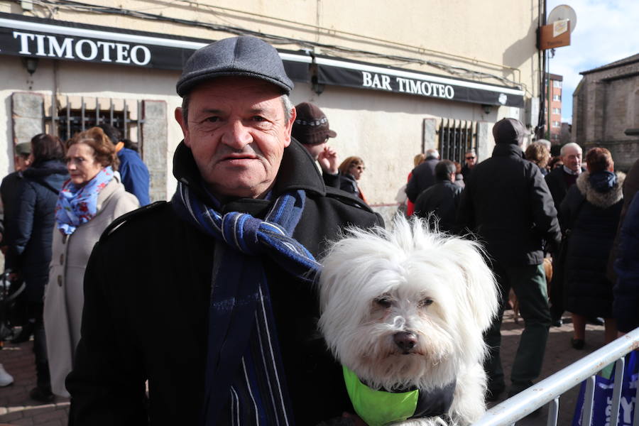 Fotos: En imágenes, la bendición de los animales de San Antón