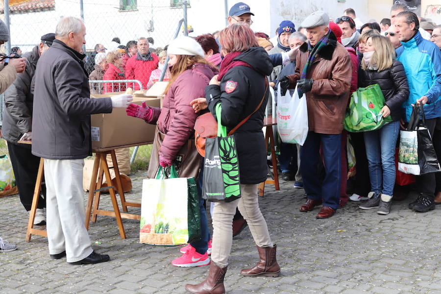 Fotos: ¿Has ido a recoger titos este año? Búscate en estas fotografías