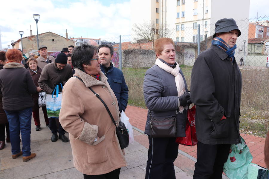 Fotos: ¿Has ido a recoger titos este año? Búscate en estas fotografías