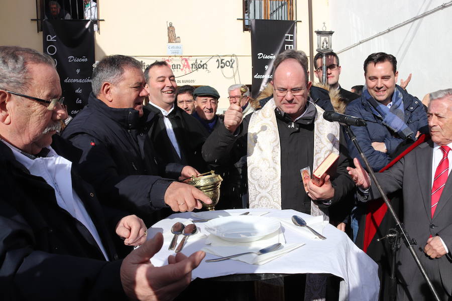 Fotos: ¿Has ido a recoger titos este año? Búscate en estas fotografías