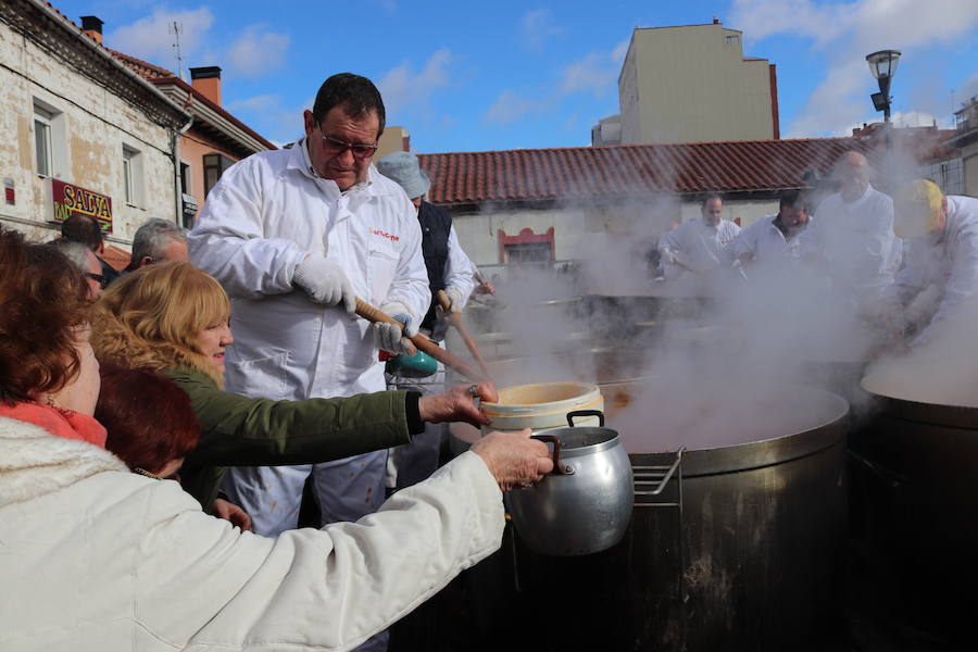 Fotos: ¿Has ido a recoger titos este año? Búscate en estas fotografías
