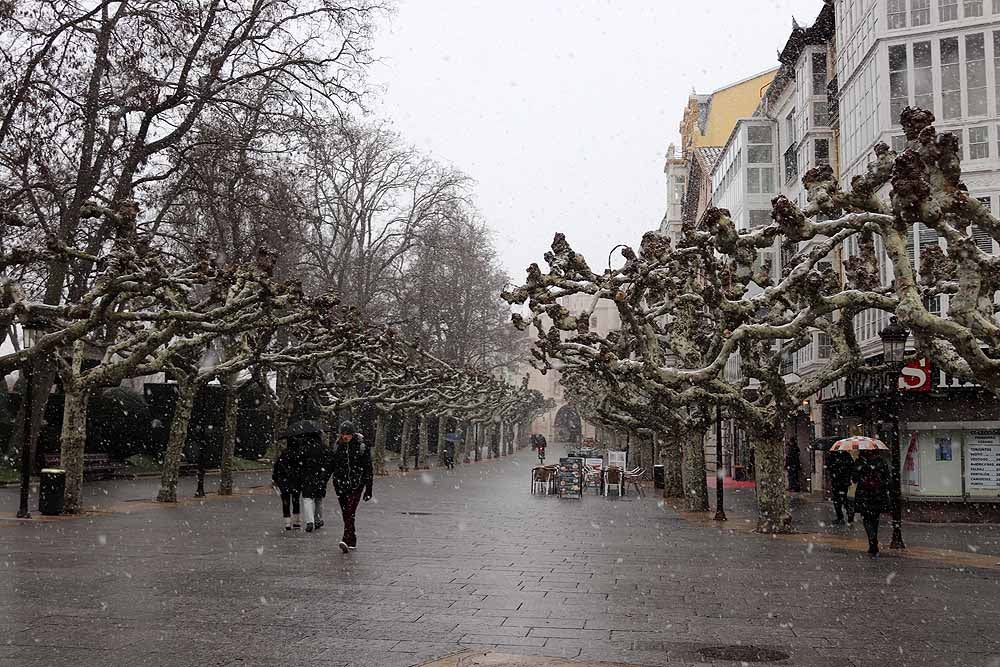 Fotos: Llegan los primeros copos de nieve a Burgos