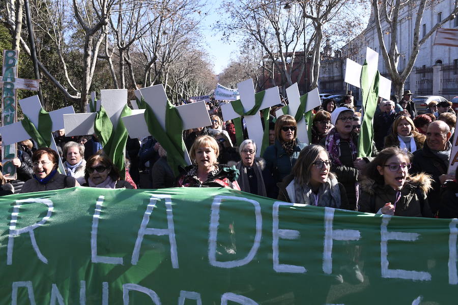 Fotos: Manifestación en Valladolid en defensa de la sanidad pública de Castilla y León