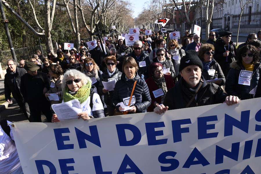 Fotos: Manifestación en Valladolid en defensa de la sanidad pública de Castilla y León