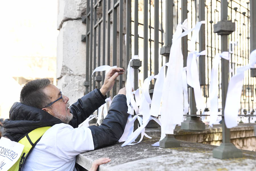 Fotos: Manifestación en Valladolid en defensa de la sanidad pública de Castilla y León