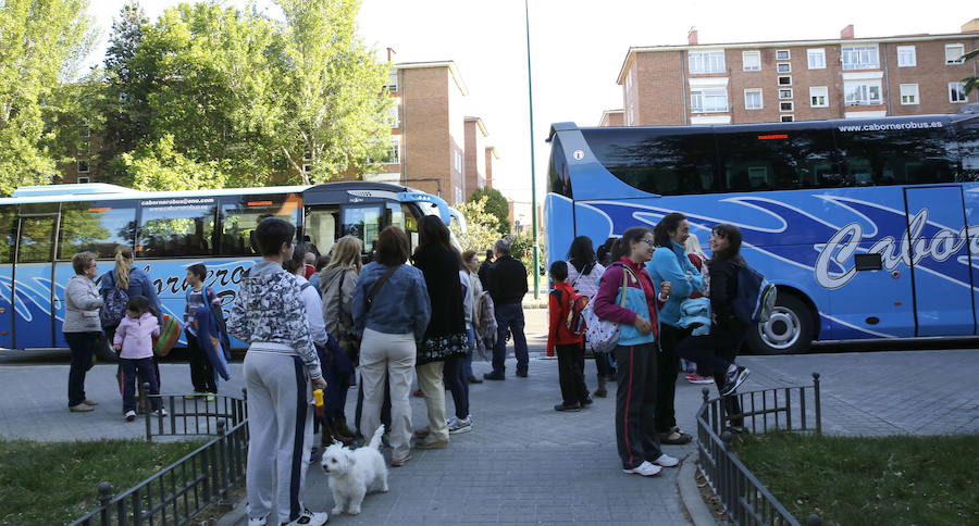 Dos autobuses escolares de la ciudad de Valladolid. 