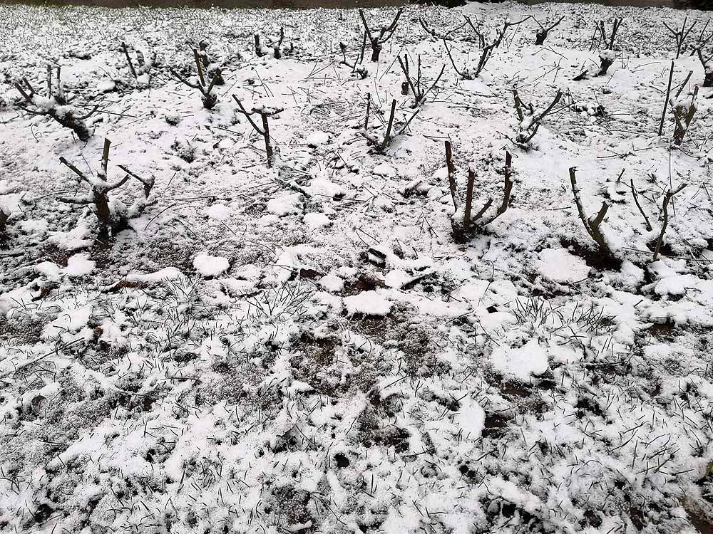 Fotos: La nieve que no verás si no has madrugado