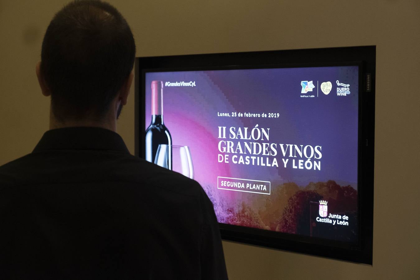 Hasta 130 bodegas de las distintas denominaciones de origen de la región tomaron ayer Madrid con sus mejores vinos