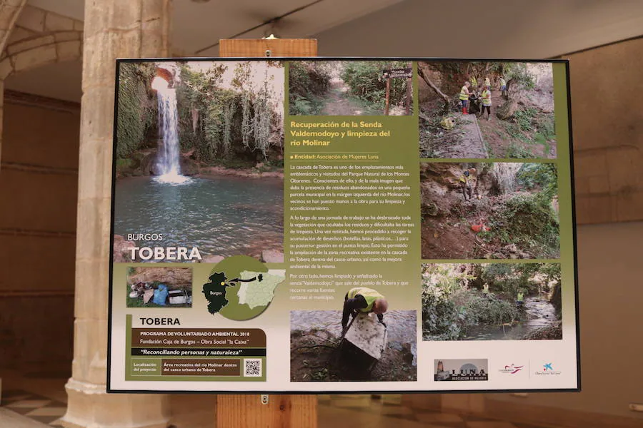 Fotos: LA exposición sobre Voluntariado Ambiental en la Casa del Cordón, en imágenes