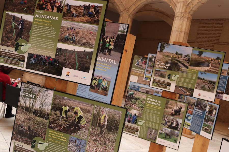 Fotos: LA exposición sobre Voluntariado Ambiental en la Casa del Cordón, en imágenes